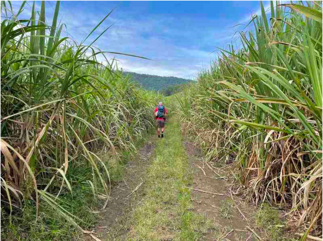 2022 El Camino de Costa Rica Trip Report