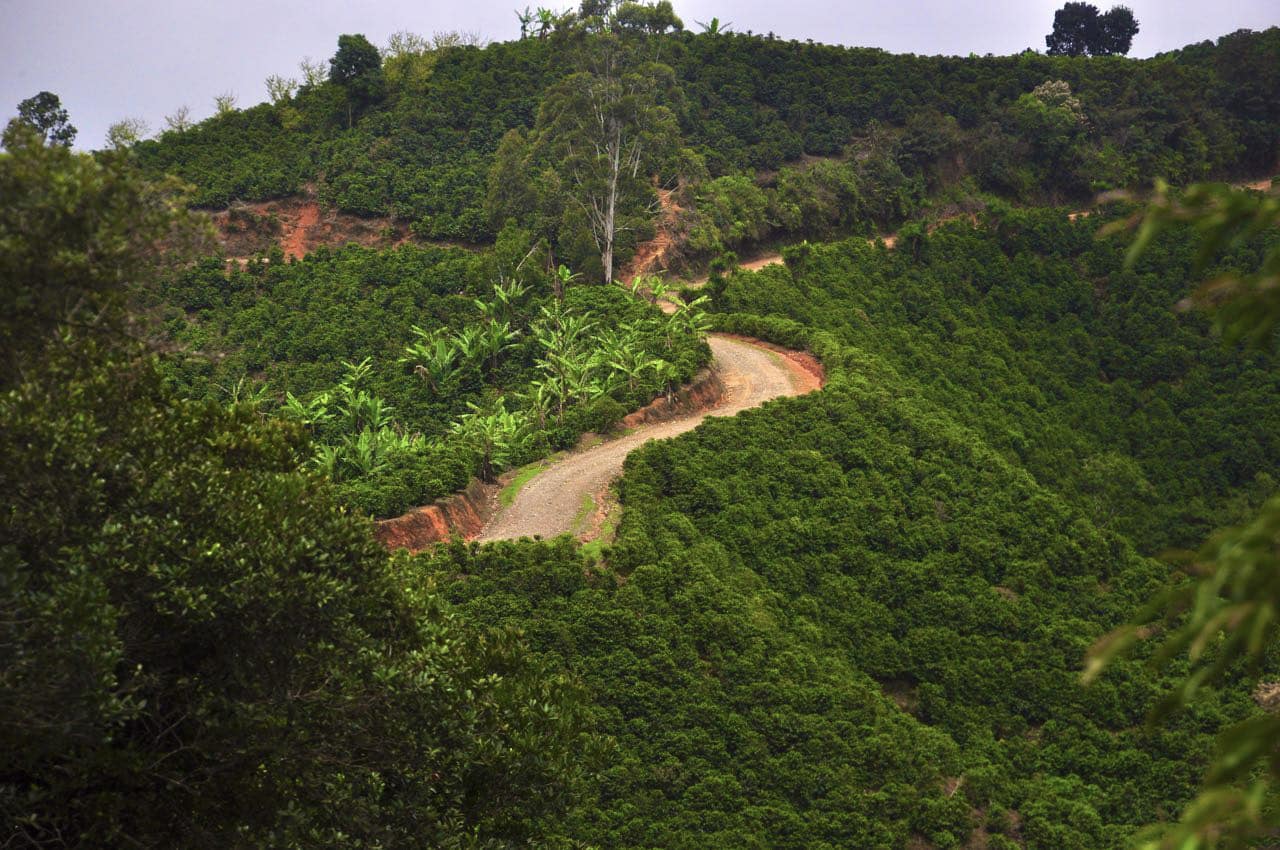 El Camino de Costa Rica en la prensa, 2025 a 2026