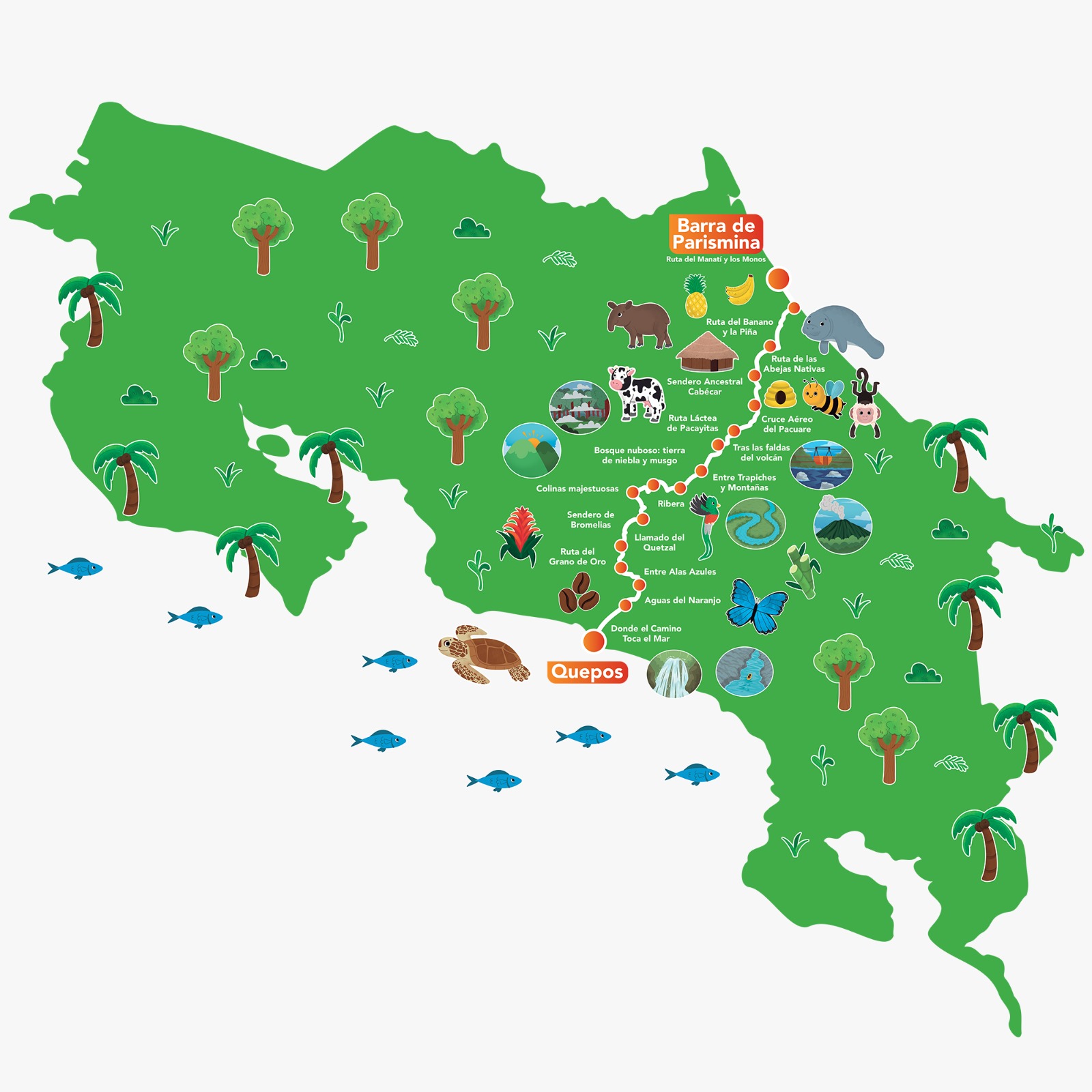 Costa Rica Rutas Inicio - El Camino de Costa Rica
